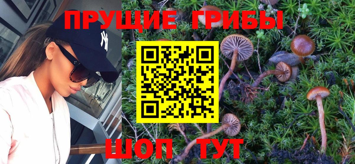Ульяновск  Псилоцибиновые грибы Cubensis  Вход с VPN 